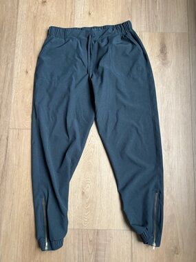 Albion Women’s Jogger Pants with Ankle Zips